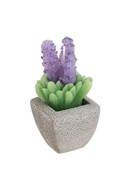 OEM Lumanare 3D Lavanda in Ghiveci Gri 6x6x12cm