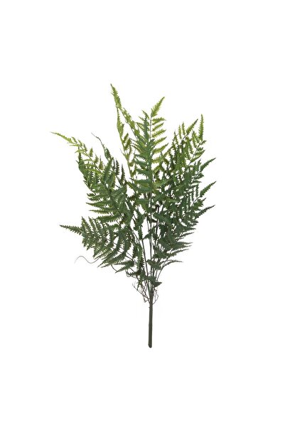 OEM Ramura Artificiala Feriga Verde 71cm