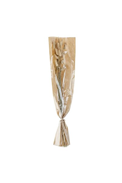 OEM Decorative Branches Bunny Tails Beige 60cm