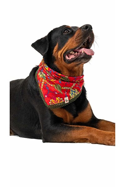 PETİZAN Köpek Fular - Lalezar