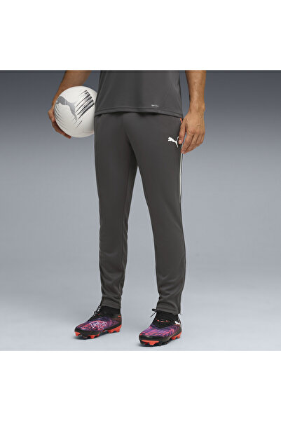 Puma individualLIGA Training Pants Men