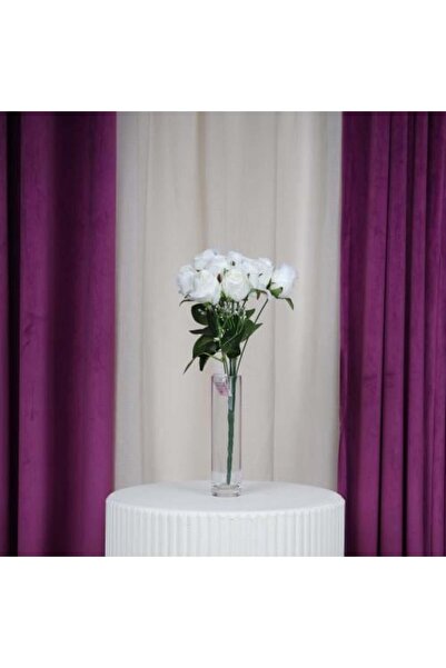 Gifts World سكري Rose Juri