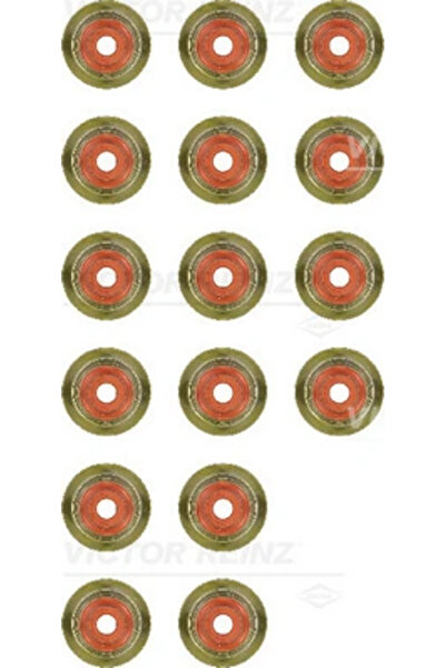 VICTOR REINZ Set Garnituri Ax Supape Bmw 1/3/5 Land Rover Freelander 1