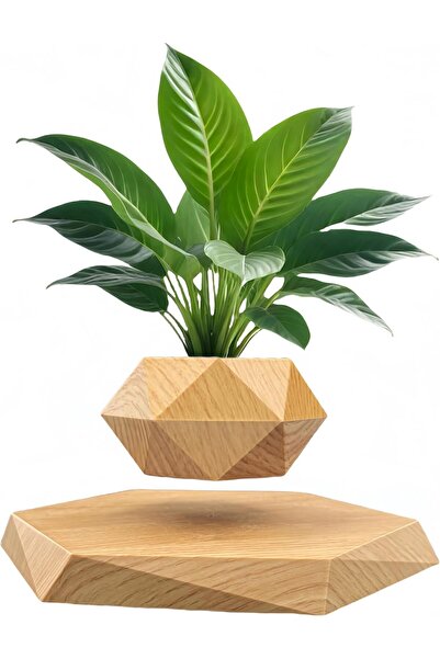 Generic Levitating Air Bonsai Pot - Levitating Plant Pot (Wooden)