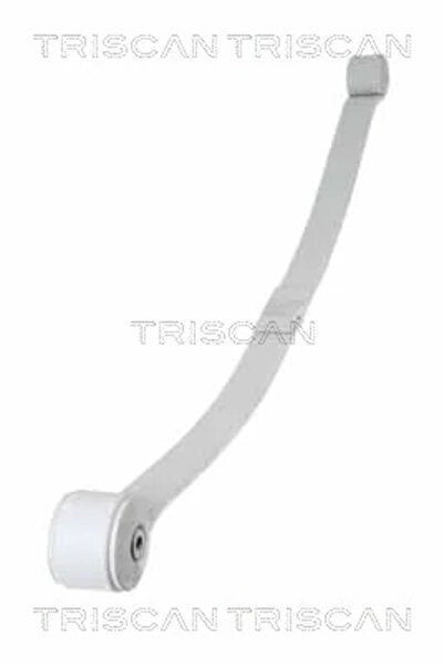 TRISCAN Pachet Arc Cu Foi Puntea Spate Ford Transit V363 Bus/Transit V363 Car...