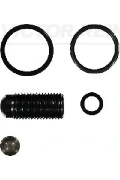 VICTOR REINZ Chit Reparatie Unitate Pompa-Diuza Audi A3/A4 B7 Seat Altea/Leon...