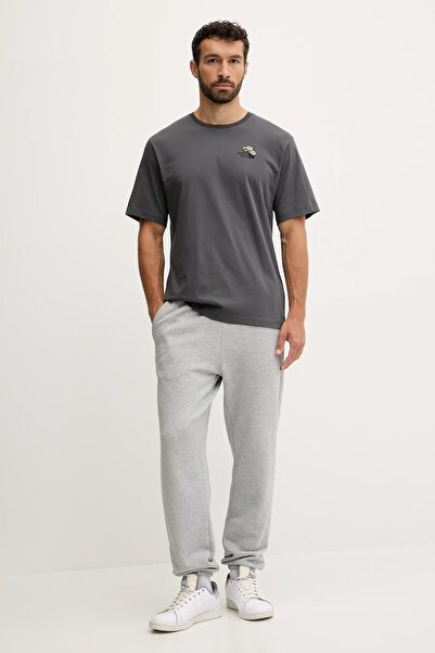 THE NORTH FACE Men's grey t-shirt Flower Tee