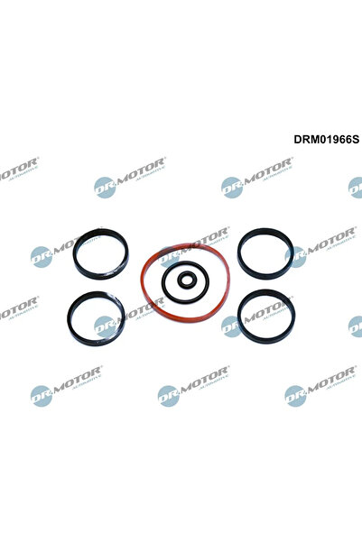 DR.MOTOR AUTOMOTIVE Set Garnituri Galerie Admisie Alfa Romeo Mito Chrysler Yp...