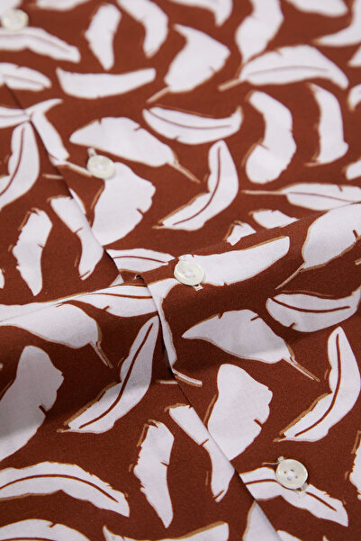 W Collection Brown Short Sleeve Printed Shirt