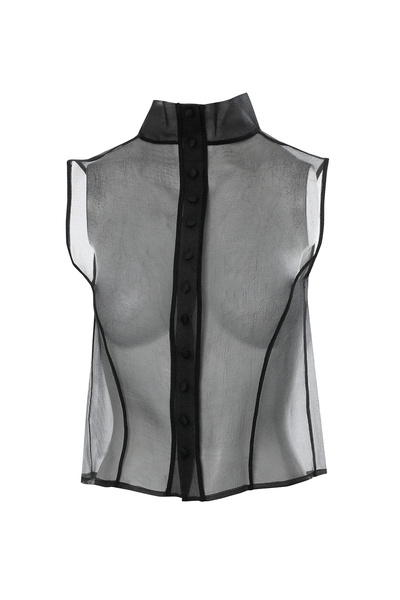 GİZİA Boğazlı Transparan Organze Bluz