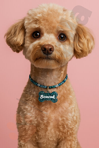 Petella İsimli Köpek Kolyesi Çiçek Desenli Ayarlanabilir Köpek Tasması