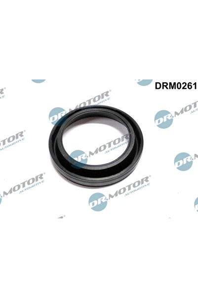 DR.MOTOR AUTOMOTIVE Etansare Suport Injector Injector Mazda 6/Mpv 2