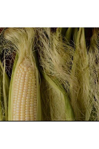 yöresel Mısır Püskülü & Kiraz Sapı