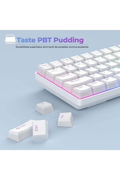 Timebox Mechanical Gaming Keyboard, 60%, RGB lighting, 68 PBT Pudding keys, with Type-C cable, Red Switch,