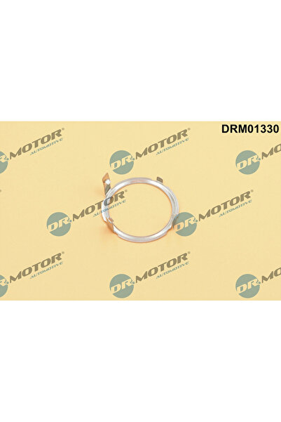 DR.MOTOR AUTOMOTIVE EGR valve gasket after EGR cooler VW CADDY ALLTRACK IV Van/space limousine DRM01330