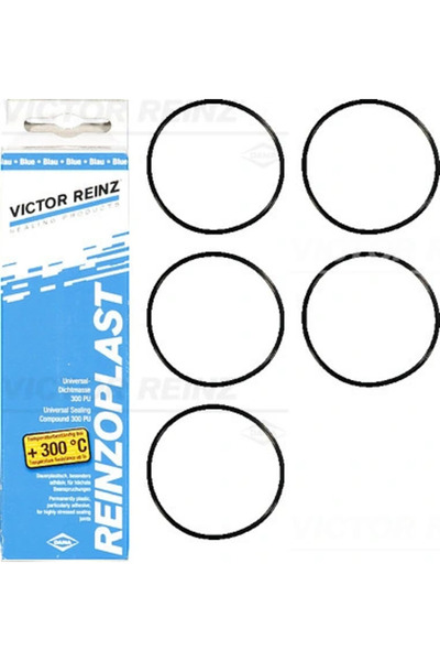 VICTOR REINZ Set Garnituri Capac Supape Volvo 850/C70 1/S70