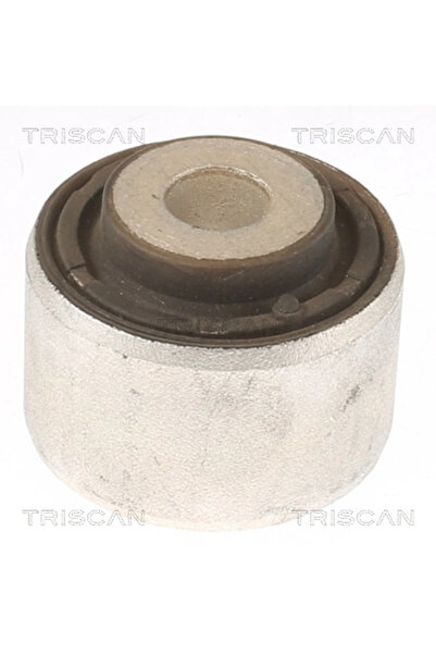 TRISCAN Suport Trapez Tesla Model 10/Model S