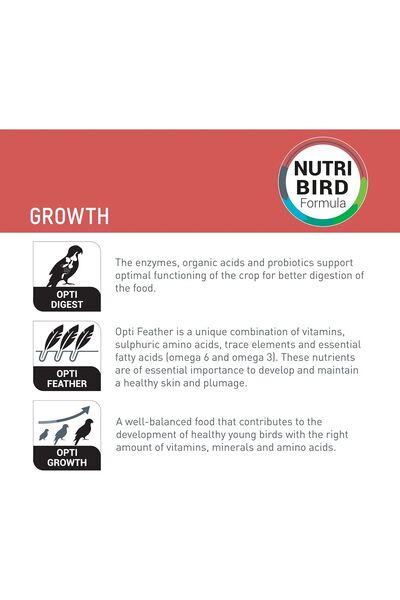 Versele Laga Versele-laga NutriBird Hand-rearing Food (A19)