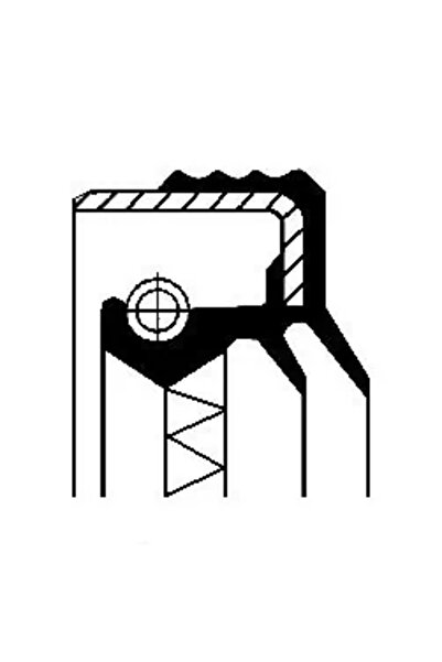 CORTECO Simering Butuc Roata Puntea Spate Renault Trucks C/Magnum/R