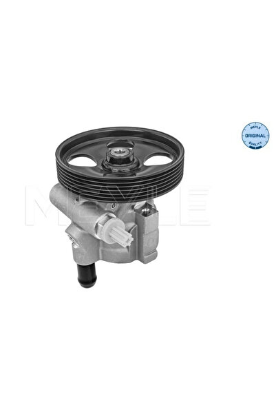 MEYLE Pompa Hidraulica Sistem De Directie Renault Avantime/Espace 3/Espace 4