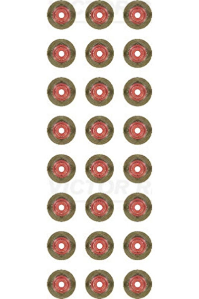 VICTOR REINZ Set Garnituri Ax Supape Bmw 3/4 Cupe/5