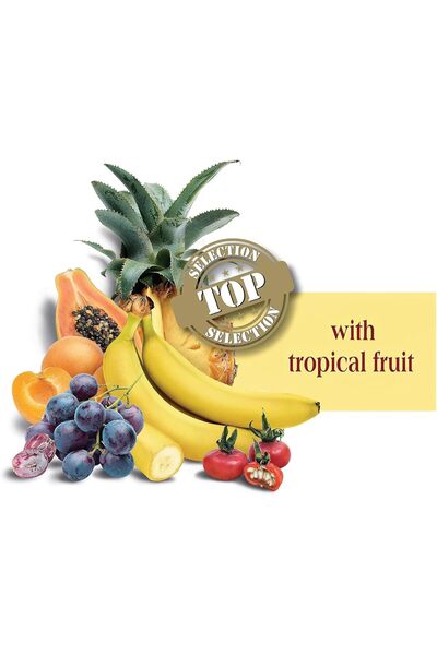 Versele Laga Versele-laga Parrots Exotic Fruit Mix (600g)