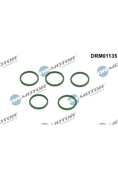 DR.MOTOR AUTOMOTIVE Inel Etansare Furtun Aer Supraalimentare Audi A3/A4 B6 Se...