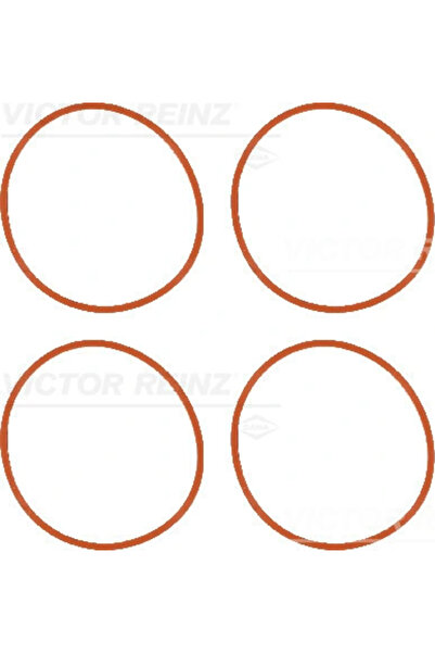 VICTOR REINZ Set Garnituri Galerie Admisie Citroen C2/C3 1/C4 1 Peugeot 1007/...