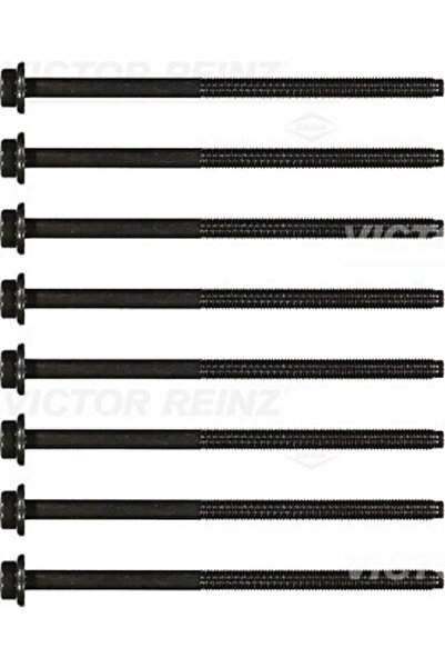 VICTOR REINZ Set Surub Chiulasa Seat Ibiza 3 Skoda Fabia 1/Fabia 2