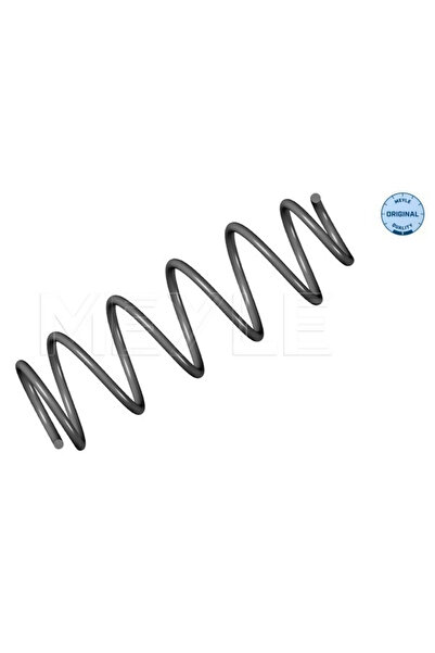 MEYLE Arc Spiral Puntea Spate Renault Laguna 3