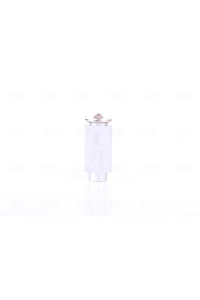 Nissens Supapa Expansiune Clima Daf 95 Xf Man Tga/Tgl 1/Tgm 1