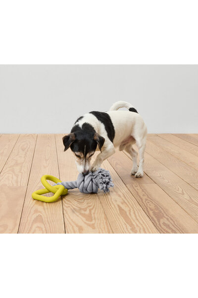 Tchibo Dog Toy, Rope Ring