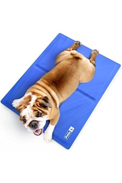 OEM PETIC Cooling Mat for Dogs Cats Pets 65 cm x 50 cm