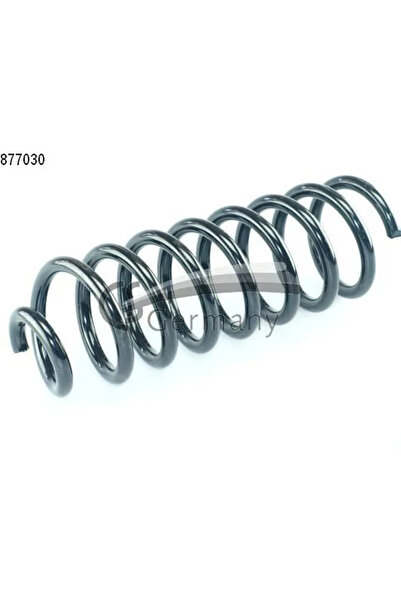 CS GERMANY Arc Spiral Puntea Spate Dacia Logan/Sandero Renault Sandero/Stepway 1