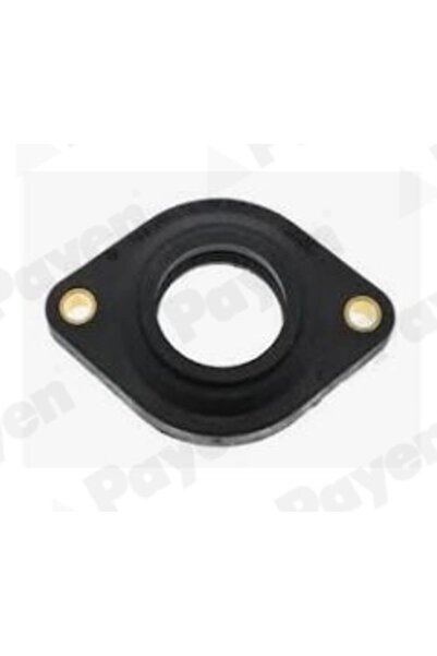 PAYEN Garnitura Distributie Alpina B10/Roadster V8 Bentley Arnage