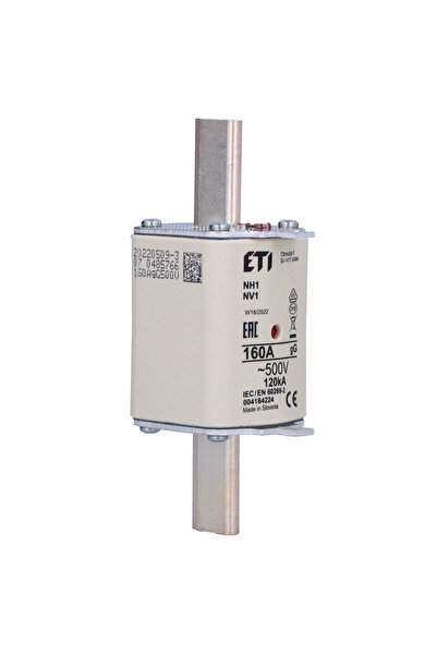 Other Fuse link NH1 gG 160A500V slow-blow