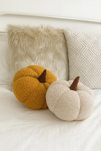 EYPRICH 100% Natural Teddy Decorative Pumpkin Cushion/Pillow