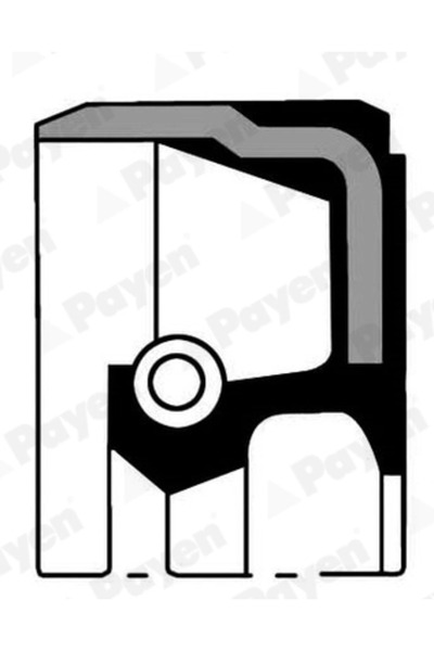 PAYEN Simering Arbore Cotit Fuso (Mitsubishi) F-Series Model 2 King Long 6110...