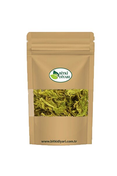bitki diyarı Matchweed (Lycopodium Clavatum) Fern 25Gr