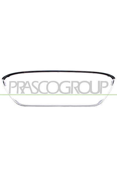 PRASCO Banda De Protectie Grila Radiator Ford Fiesta 5/Fiesta 6