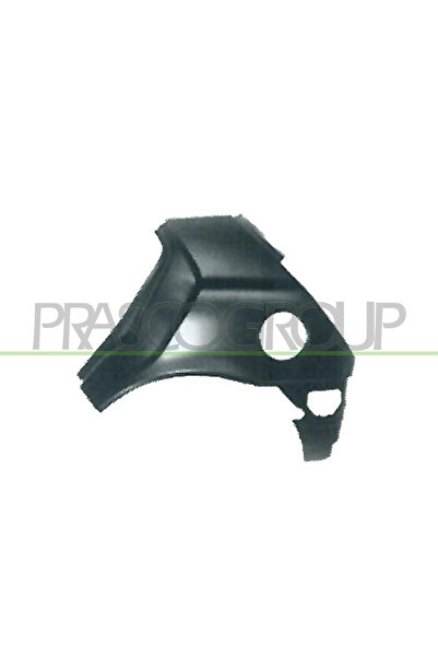 PRASCO Panou Lateral Spate Stanga Ford Fiesta 4