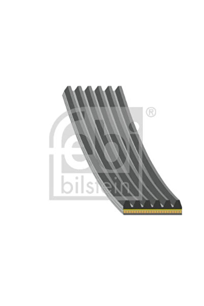 FEBI BILSTEIN Curea Transmisie Cu Caneluri Ford Kuga 3/Tourneo Custom V362 Bu...