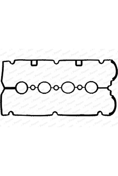 PAYEN Garnitura Capac Supape Fiat Stilo Opel Astra G/Astra H/Meriva A Microbus