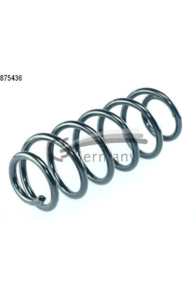 CS GERMANY Arc Spiral Puntea Spate Suzuki Swift 3