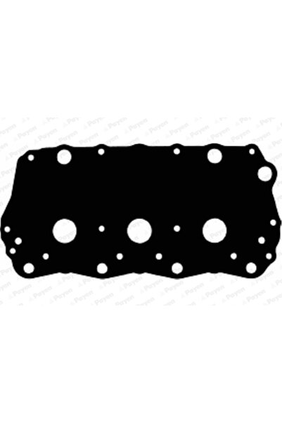 PAYEN Garnitura Capac Supape Land Rover Freelander 1 Mg Mg Zs/Mg Zt/MG750