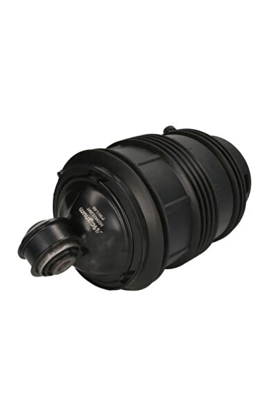 MAGNUM TECHNOLOGY Arc Pneumatic Directie Axa Spate Stanga Mercedes-Benz Cls/E...