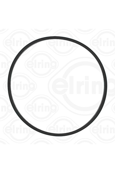 ELRING Garnitura Carcasa Galerie Admisie Carcasa Clapeta Acceleratie Bmw 1/2/...