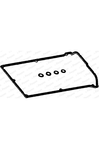 PAYEN Set Garnituri Capac Supape Fiat Barchetta/Brava/Bravo 1 Lancia Dedra/De...