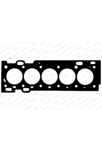 PAYEN Garnitura Chiulasa Volvo S60 1/S80 1/V70 2