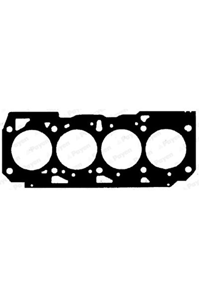 PAYEN Garnitura Chiulasa Fiat Albea/Doblo Autoutilitara/Limuzina Spatioasa/Do...